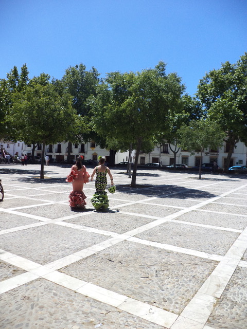 Las flamencas. Photo © Karethe Linaae